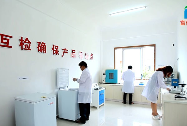 技術(shù)團隊正在工作